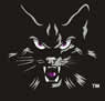 Haymarket Battle Cats